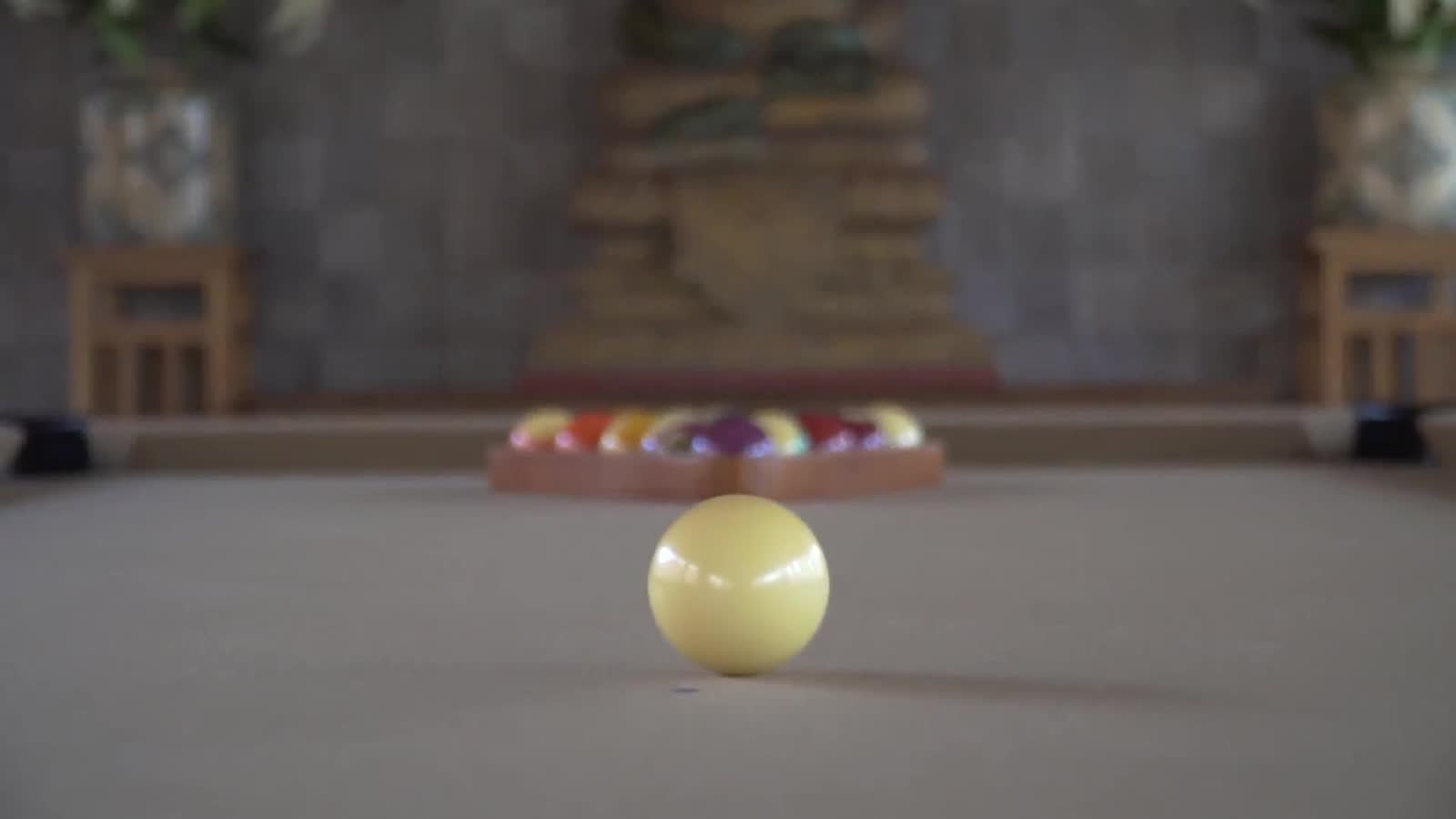 The billiards pavilion