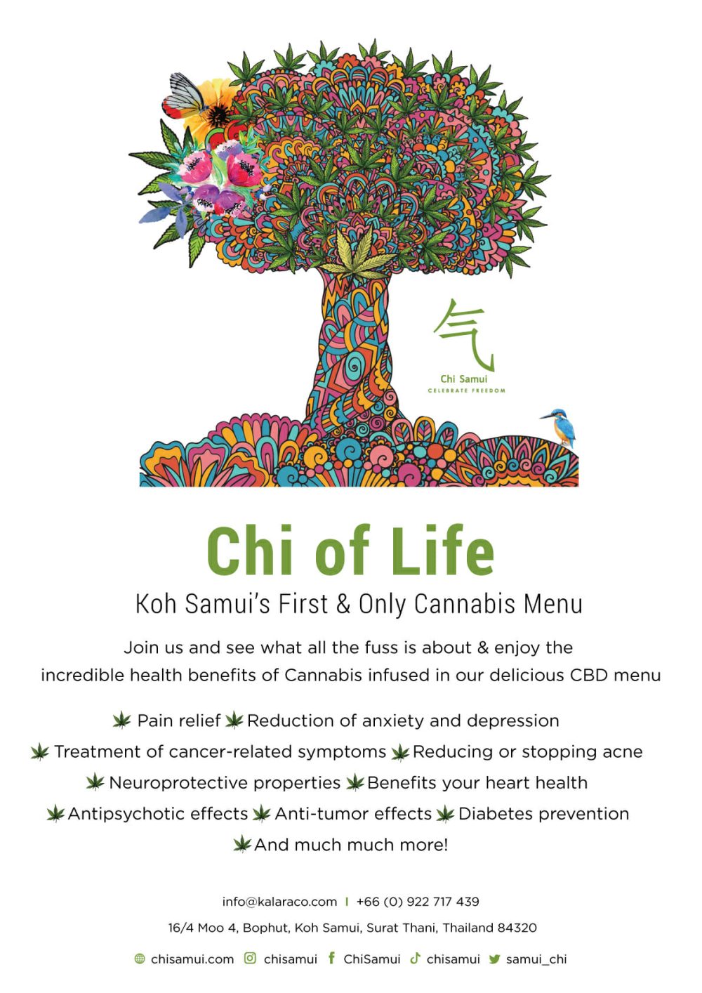 Chi Samui What’s On 02