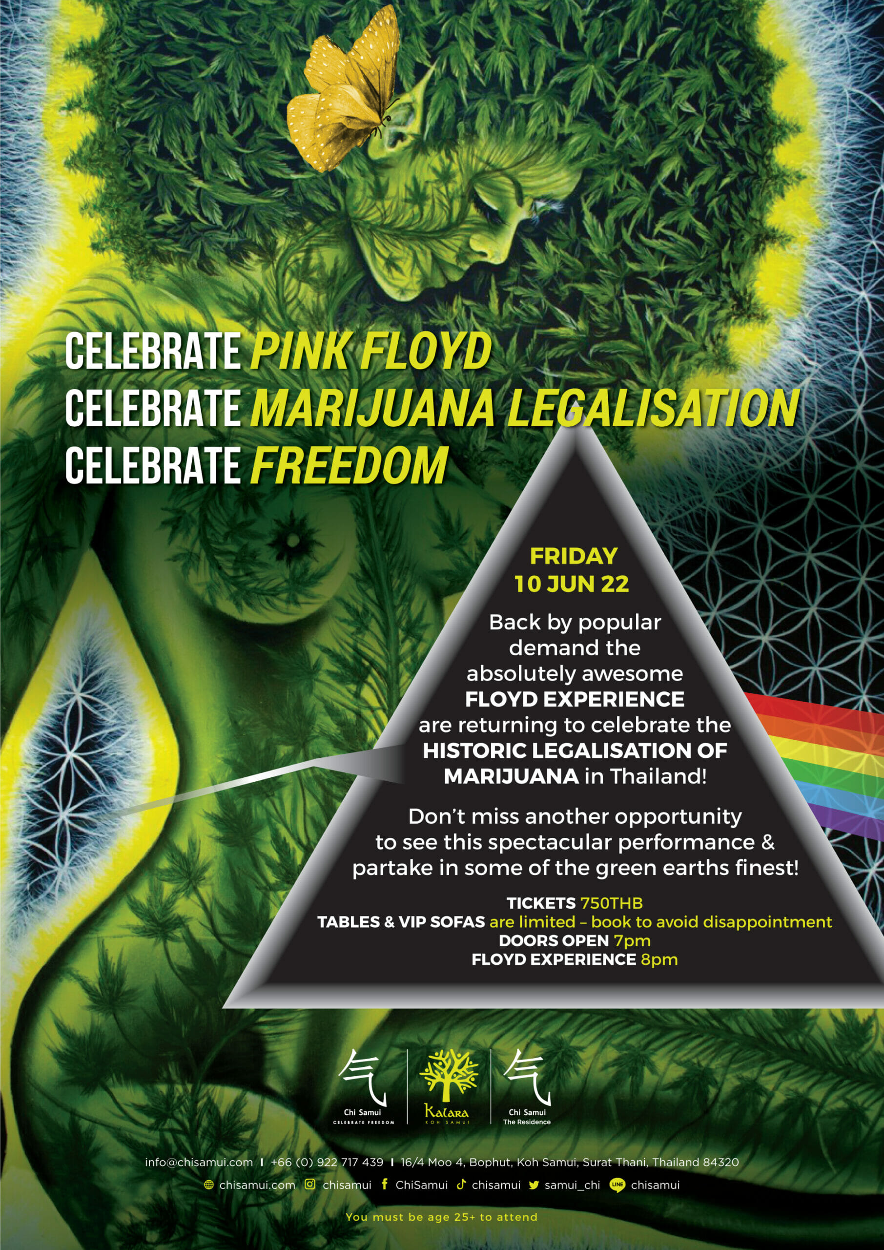 Pink Floyd Marijuana Legalisation June 22