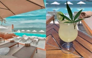 CBD by the sea - Chi Samui is 1st on island serving cannabis dishes 2021